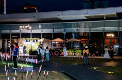 美食、美照、打卡新地标，“520”鲜花打卡墙亮相长沙IFS