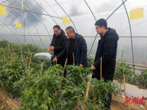 道县东门街道：以“头雁领航” 引领乡村振兴