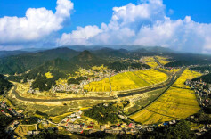 茶韵稻香谱丰景 大美隆回立潮头