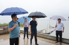 王启武督导中央第五生态环保督察组交办信访件办理工作