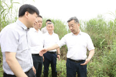 益阳市委书记深入沅江市调研督导典型案例问题整改工作