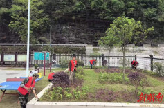 辰溪县谭家场乡：栽花植绿美家园 人居环境靓底色