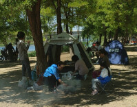 烧烤随处见、孩子坐河边……郊野露营，风险不可小觑