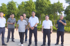 市领导来澧检查安全生产并开展巡林工作