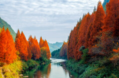 湘西州以高品质生态环境擦亮最美“底色”