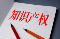 我国将加快建设支撑国际一流营商环境的知识产权保护体系