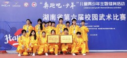 大汉技校“非遗武术班”在湖南省第六届校园武术比赛中荣获二等奖