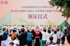 湘益茯茶受邀参加联合国教科文组织人类非遗代表作名录的证书颁证仪式