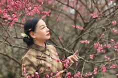 梅花开时  春信已至