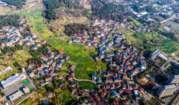 共赴油菜花海里的春之约