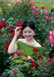 百花丛中