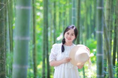 竹林清韵