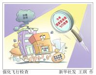 漫言漫语丨强化飞行检查