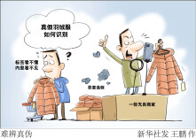 漫言漫语丨难辨真伪