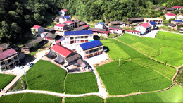 四美沅陵｜楠木铺乡:奋力描绘绿色生态发展新画卷