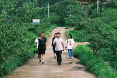 湖南沅陵：为乡村振兴汇聚青春才智