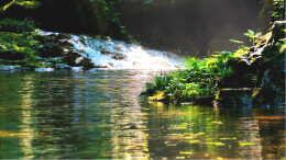 中华书山·情醉怀化丨沅陵持续做好“文旅+”深度融合文章