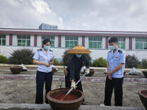 双峰税务：“税力量”助力“辣酱红”