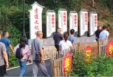 四美沅陵｜杜家坪乡松溪村：县里县外“取经” 谋建“和美湘村”