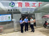 通道：政法干警大走访  助企纾困解难题