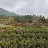 南洞，一个有梦的地方