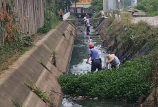 桃源青林回维乡：整治人居环境 共建美丽乡村