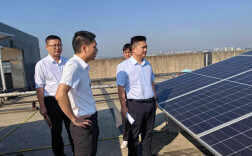 余磊调研潭州新能源光伏项目推进情况