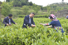 为人民而作 为时代而歌 ——2023年沅陵县新闻宣传工作掠影