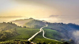 沅陵北溶乡：凝聚乡村治理向心力 建设乡风文明新农村