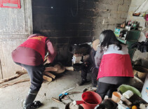 桃源县郑家驿镇：心系弱势群体温与饱 雪天走访彰显初心