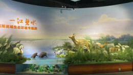 “一江碧水——洞庭湖流域生态环境专题展”已正式开展