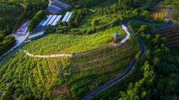 邵阳北塔区田江村：“三长”模式擦亮民生幸福底色