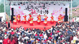 推动农文旅融合发展！邵阳北塔区：做好“花文章”，激活“桃经济”