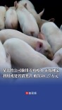 偷排养殖废水，未按规定利用或处置猪粪渣，某农牧公司被处以罚款48.27万元