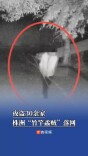 门窗完好财物不翼而飞？株洲“竹竿蟊贼”作案30余起落网