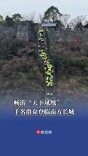 畅游“天下凤凰”，千名群众登临南方长城