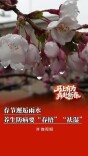 春节邂逅雨水，养生防病“春捂”“祛湿”不可少