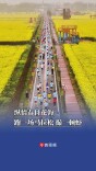 纵情春日花海，跑一场马拉松，撮一顿虾