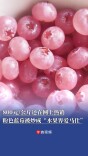 800元/公斤还在网上热销，粉色蓝莓被炒成“水果界爱马仕”