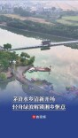 茅浒水乡清新开场，轻舟绿波解锁湘乡惬意｜“湘”见旅发会