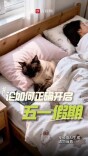论如何正确开启五一假期