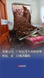 常德汉寿一户屋后发生山体滑坡，村民一家三口成功避险