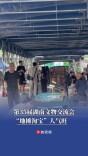 第35届湖南文物交流会“地摊淘宝”人气旺