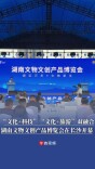 “文化+科技”“文化+旅游”双融合，湖南文物文创产品博览会在长沙开幕
