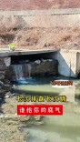 七次排查七次瞒，谁给你的底气｜军哥说新闻