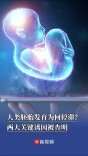 人类胚胎发育为何停滞？两大关键诱因被查明