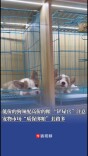 低价的狗须配高价的粮？“铲屎官”注意：宠物市场“质保绑粮”套路多