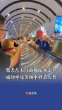 柴犬在天门山扶梯和游客击掌 成功率及喜笑颜开率秒杀人类