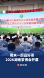 周末一起品好茶！第十八届湖南茶博会开幕，七大展区覆盖全产业链