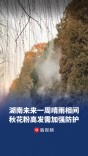 湖南未来一周晴雨相间，秋花粉高发需加强防护